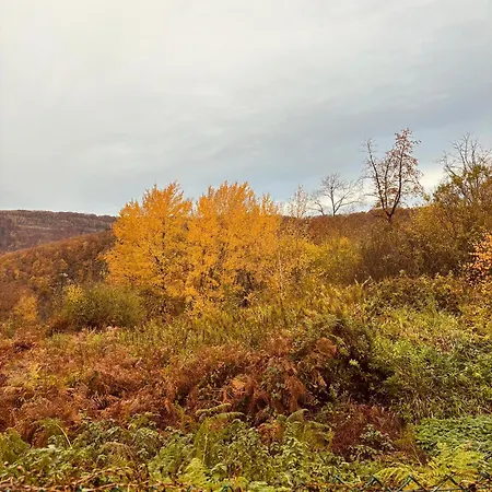 בית נופש La Chevriere *